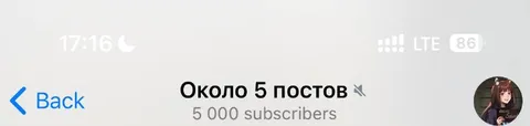 Около пяти постов и 5000 подписчиков