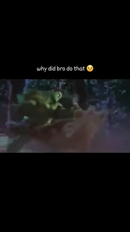Why Did Bro Do That