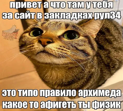Кот про сайт в закладках