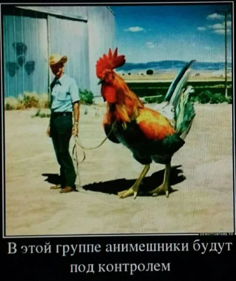 Анимешники под контролем