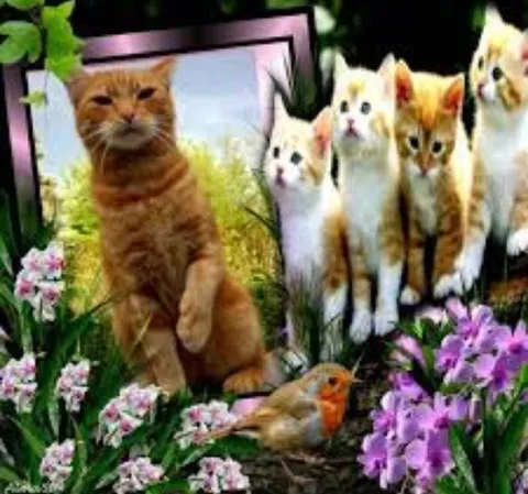 Кот среди котят и цветов