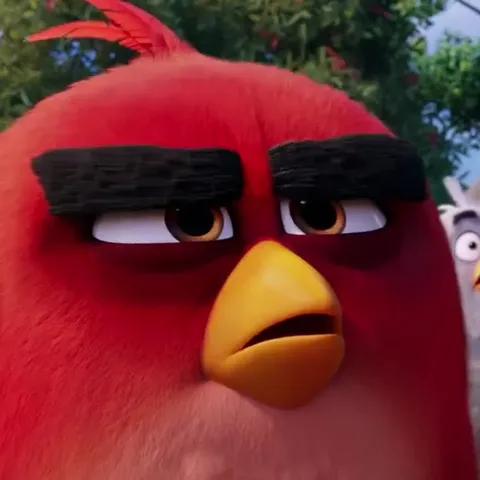 Angry Birds против настоящей птицы