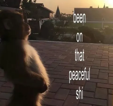 Been on That Peaceful Shi'