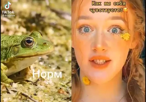 Лягушка и правда о самочувствии