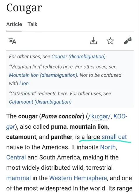 Cougar Is a Large Small Cat