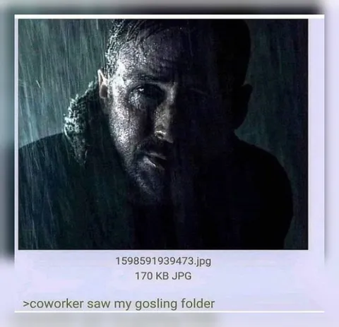 Coworker Saw My Gosling Folder
