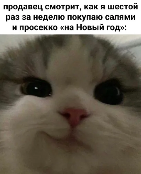 Шестой салями за неделю