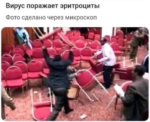 Вирус поражает эритроциты