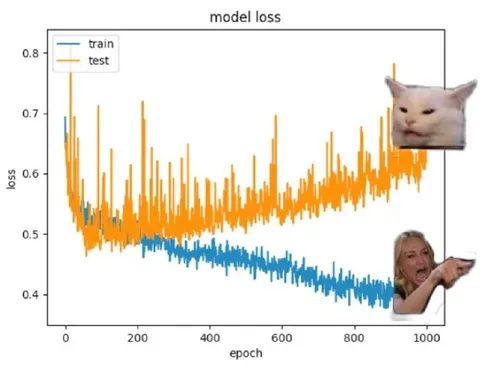 Cat Blames the Overfitting Model