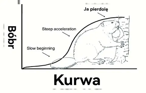 Бобр и кривая ускорения