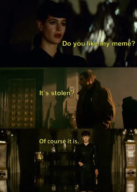 Do You Like My Meme?