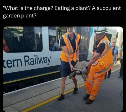 Charged With Eating a Plant