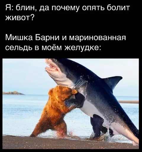 Мишка Барни и селёдка