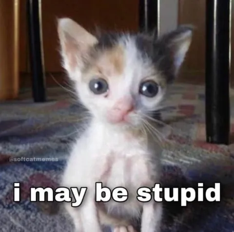 I May Be Stupid Kitten