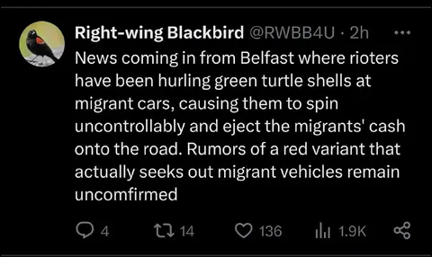 Green Turtle Shells Attack Migrant Cars