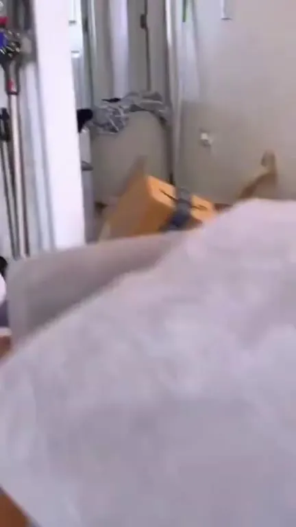 Cats Finding Boxes Everywhere