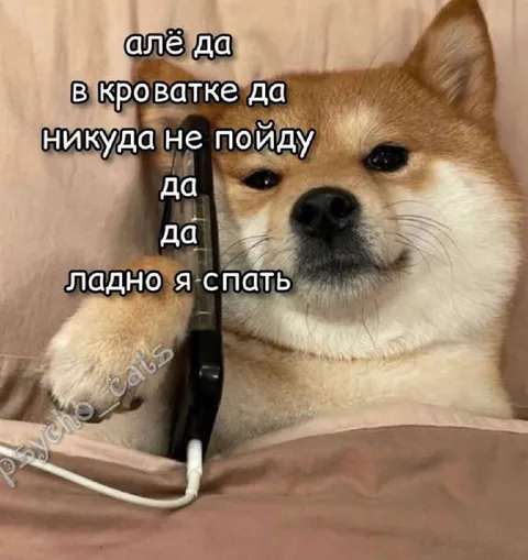 Алё, я в кроватке