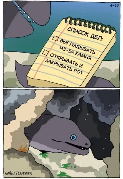 Список дел у мурены