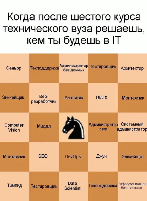 Кем будешь в IT после вуза