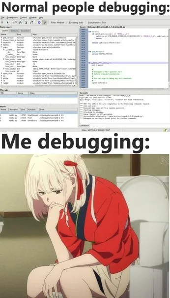 Me Debugging Like This