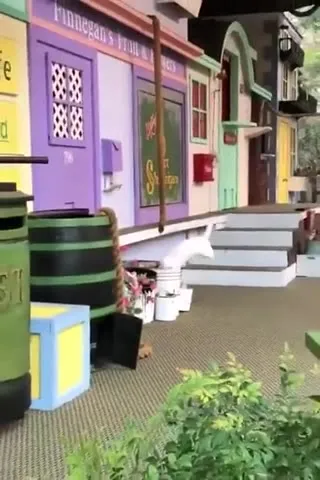 Cats Suddenly Appear