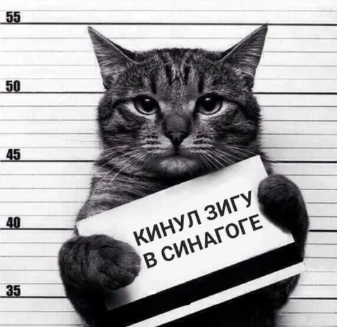 Кот кинул зигу в синагоге