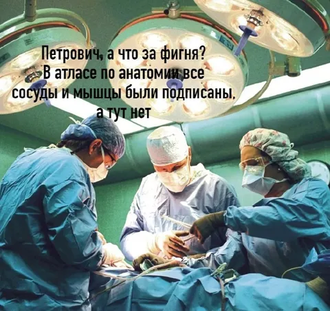 Атлас по анатомии без подписей