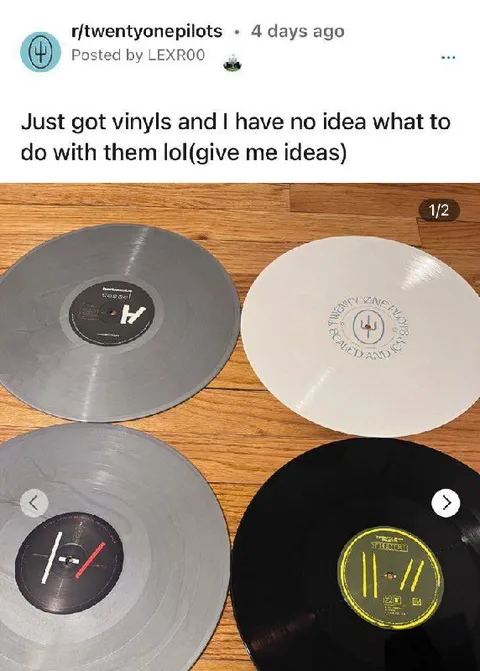No Idea What To Do With Vinyls