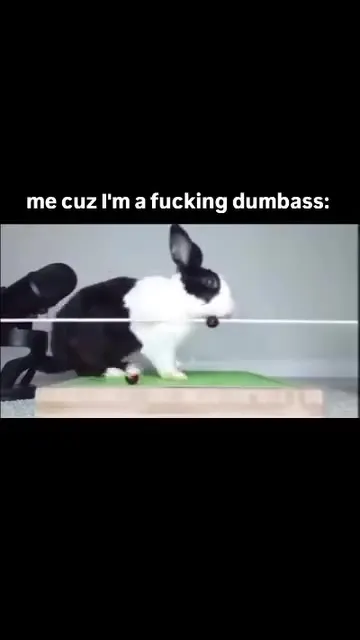 Me Cuz I'm a Fucking Dumbass