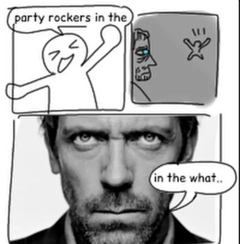 Party Rockers in the What