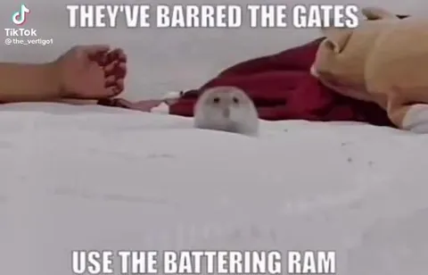 Use the Battering Ram