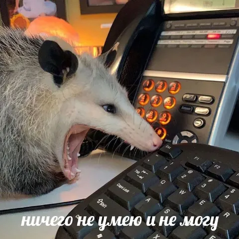Ничего не умею и не могу