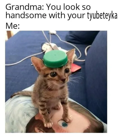 Kitten in a Tyubeteyka