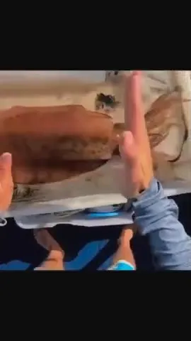 Unexpected Squid to Street Reaction