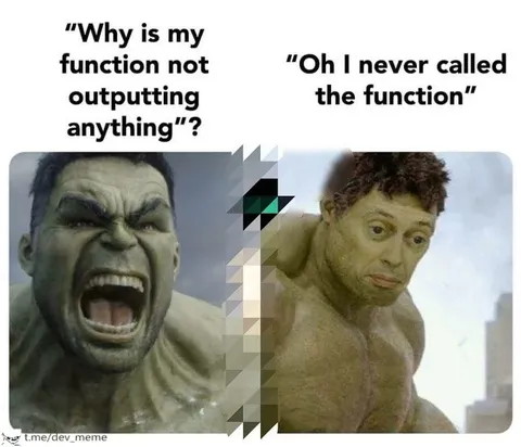 Why Is My Function Not Outputting