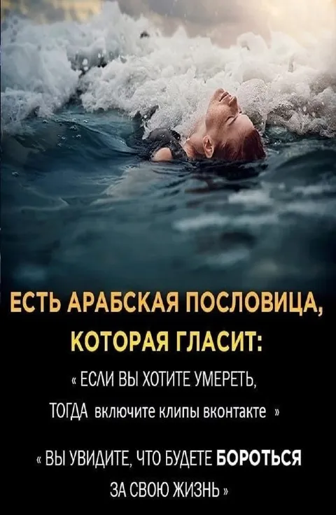 Арабская пословица про клипы ВКонтакте