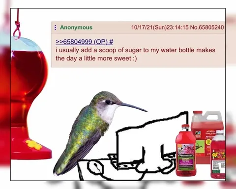 Sugar Water Makes the Day Sweeter