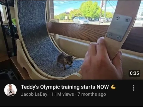 Teddy's Olympic Training Starts Now