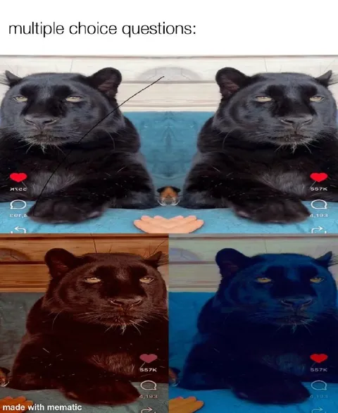 Multiple Choice Panther