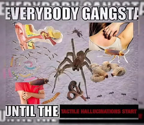 Everybody Gangsta Until Tactile Hallucinations