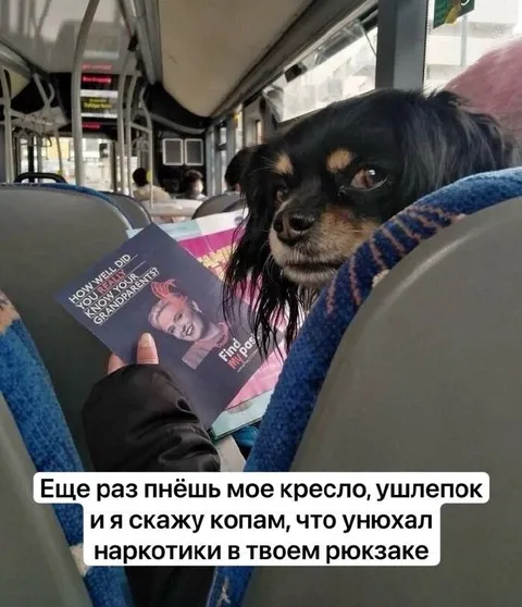 Собака угрожает пассажиру