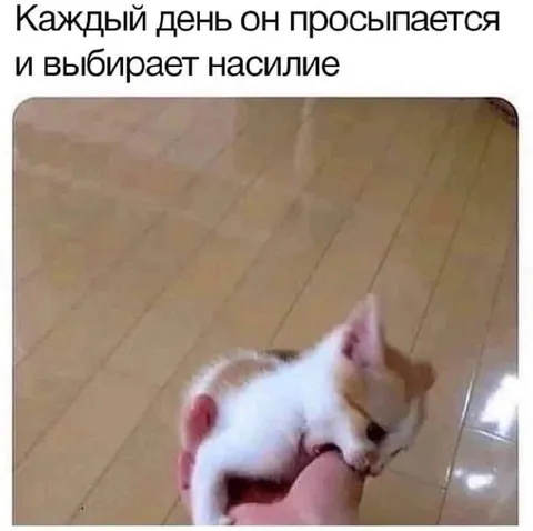 Каждый день выбирает насилие