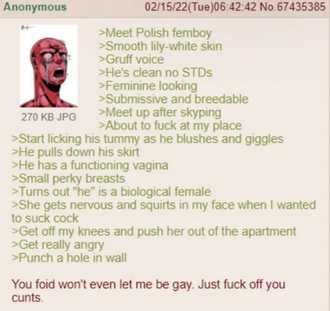 Anonymous Femboy Greentext Twist