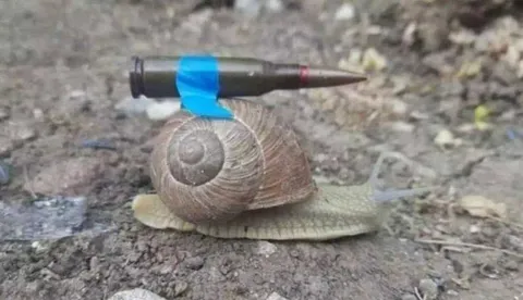 Улитка с боеприпасом