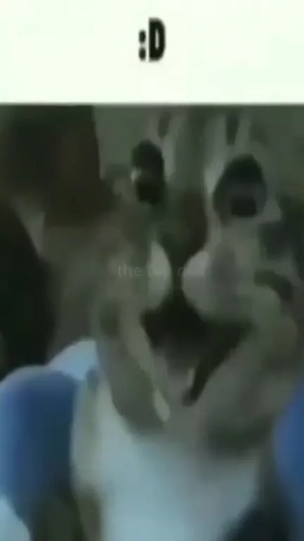 When Everything Goes Wrong