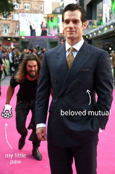 Beloved Mutual and Little Paw