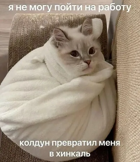 Кот-хинкаль не может на работу