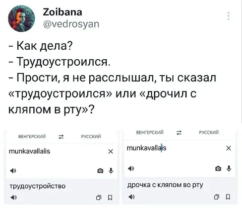 Венгерский перевод трудоустройства