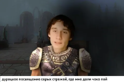 Посвящение Серых Стражей с чоко паем