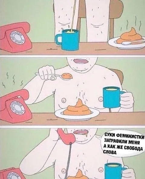Суки феминистки затравили меня